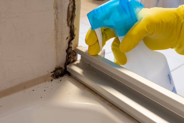 Bradford, OH Mold Remediation Company